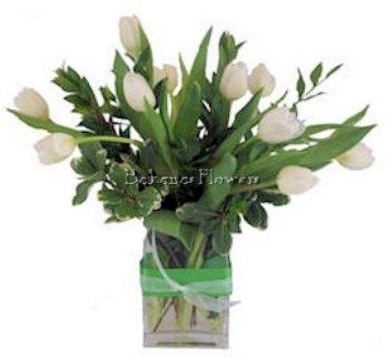 Irish Tulips from Bakanas Florist & Gifts, flower shop in Marlton, NJ