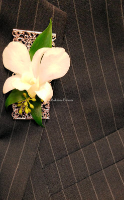Premier Collection Orchid Boutonniere from Bakanas Florist & Gifts, flower shop in Marlton, NJ