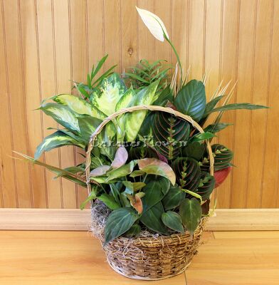 Our Round Planter from Bakanas Florist & Gifts, flower shop in Marlton, NJ