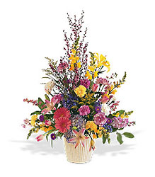 Spring Hope Arrangement from Bakanas Florist & Gifts, flower shop in Marlton, NJ