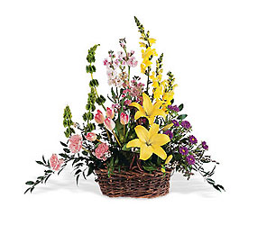 Spring Splendor from Bakanas Florist & Gifts, flower shop in Marlton, NJ