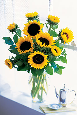 Shining Sunflowers from Bakanas Florist & Gifts, flower shop in Marlton, NJ