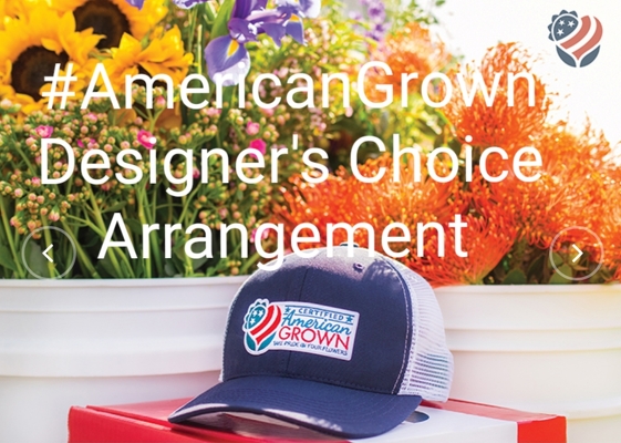 American Grown Designer's Choice Arrangement from Bakanas Florist & Gifts, flower shop in Marlton, NJ