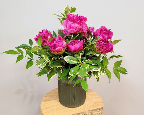 Pretty Peonies from Bakanas Florist & Gifts, flower shop in Marlton, NJ