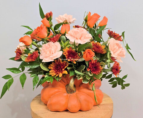 In the Pumpkin Patch from Bakanas Florist & Gifts, flower shop in Marlton, NJ