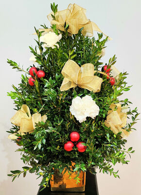 Boxwood Tree from Bakanas Florist & Gifts, flower shop in Marlton, NJ