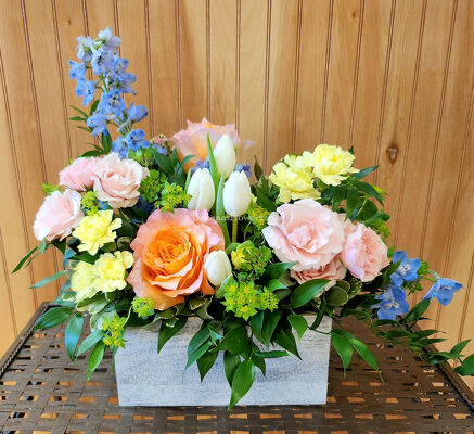 Spring Surprise from Bakanas Florist & Gifts, flower shop in Marlton, NJ