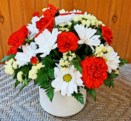 Lady Bug and Daisies Pot from Bakanas Florist & Gifts, flower shop in Marlton, NJ