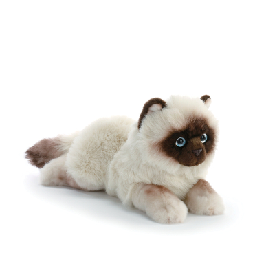 Siamese Cat Plush from Bakanas Florist & Gifts, flower shop in Marlton, NJ