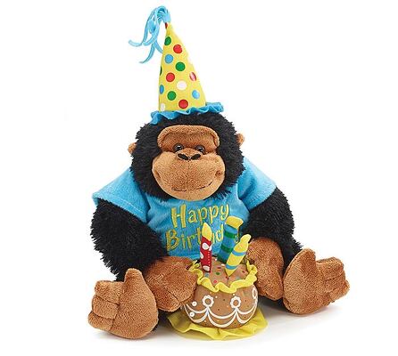 Happy Birthday Monkey from Bakanas Florist & Gifts, flower shop in Marlton, NJ