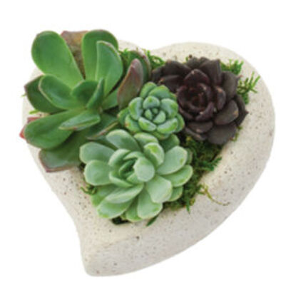 Heart Shaped Succulent Garden from Bakanas Florist & Gifts, flower shop in Marlton, NJ