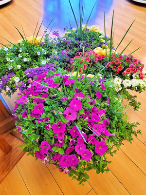 Blooming Patio Pots from Bakanas Florist & Gifts, flower shop in Marlton, NJ