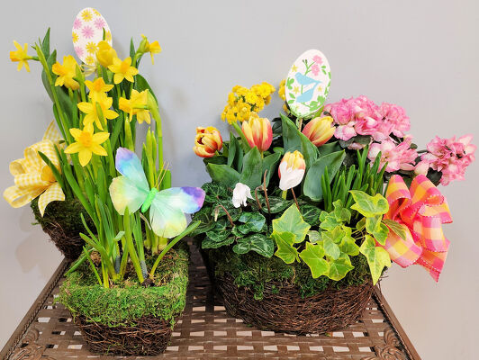 Mossy Garden Basket from Bakanas Florist & Gifts, flower shop in Marlton, NJ