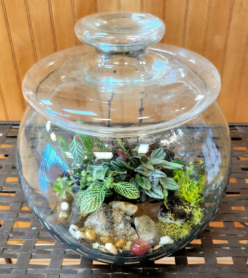 Terrarium from Bakanas Florist & Gifts, flower shop in Marlton, NJ