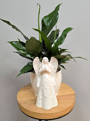 Heavenly Peace from Bakanas Florist & Gifts, flower shop in Marlton, NJ
