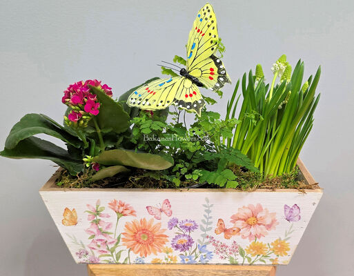 Spring Planter Garden from Bakanas Florist & Gifts, flower shop in Marlton, NJ