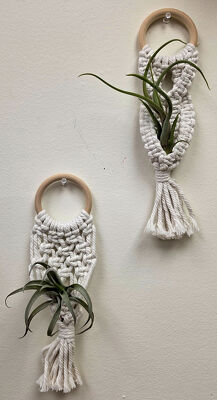 Macramé Air Plant Wall Hanging from Bakanas Florist & Gifts, flower shop in Marlton, NJ