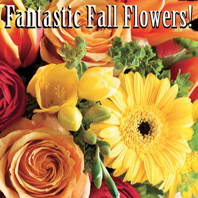 Designer's Choice Fall Arrangement from Bakanas Florist & Gifts, flower shop in Marlton, NJ