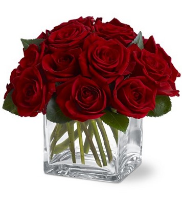 Dozen Rose Contempo from Bakanas Florist & Gifts, flower shop in Marlton, NJ